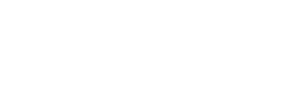 Partner 1