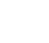 professional services