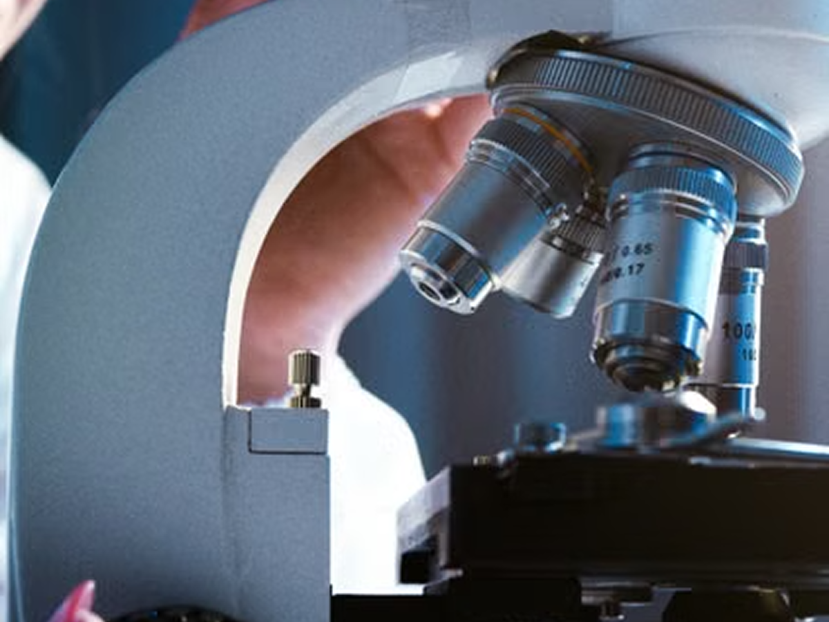 Research and Higher Education